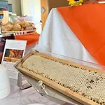 Ibisco מלון רודי גרגניקו