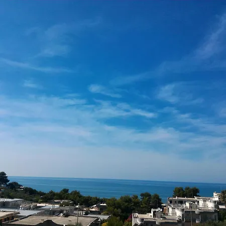 Ibisco רודי גרגניקו