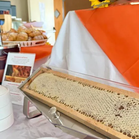 Ibisco فندق رودي غارغانيكو